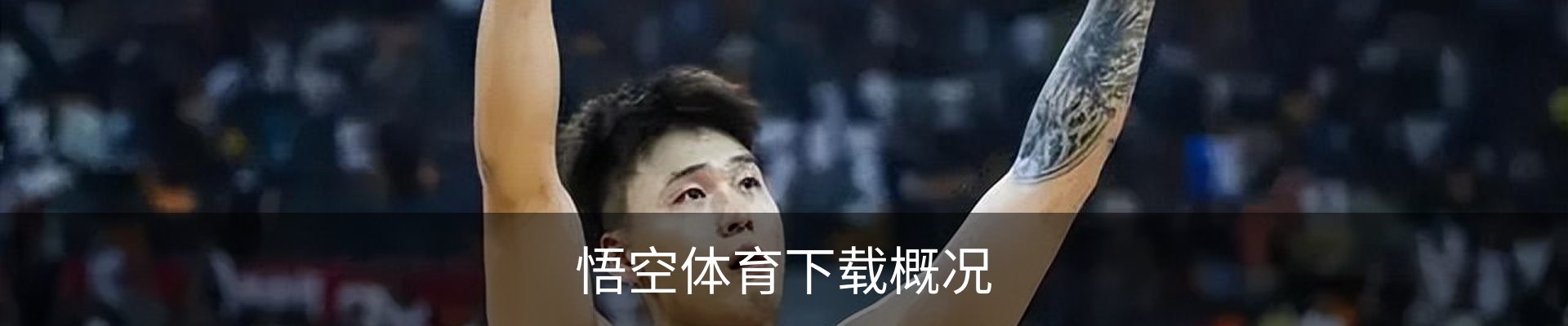 悟空体育下载概况